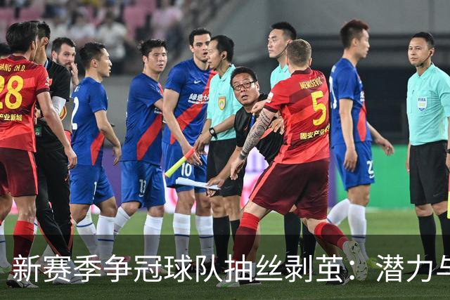 新赛季争冠球队抽丝剥茧：潜力与困境并存的阵容